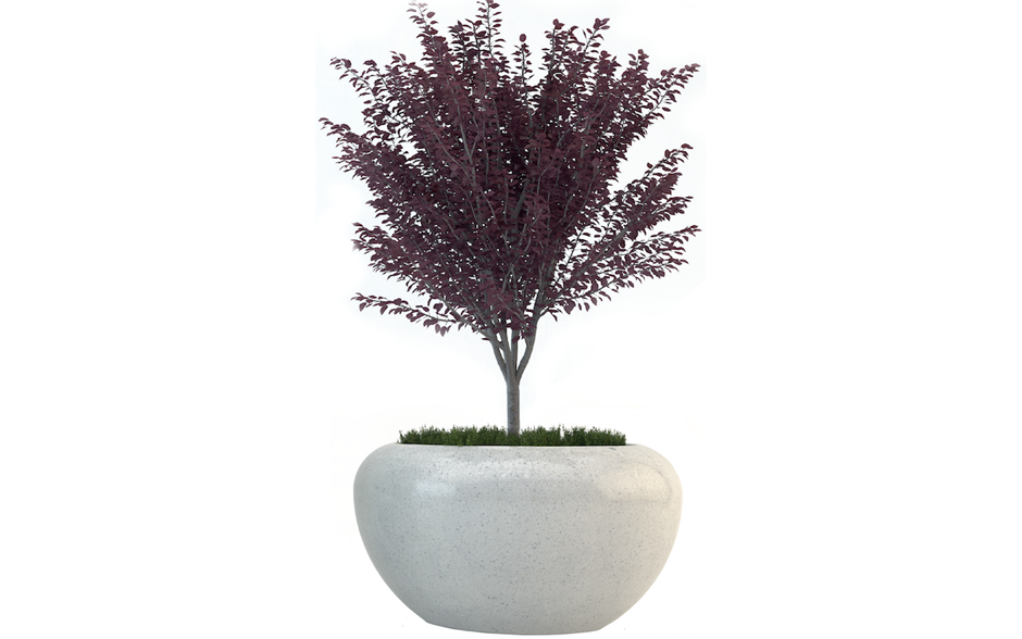 MARTE boombak steen rond